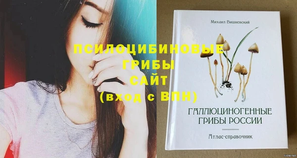 индика Красноперекопск
