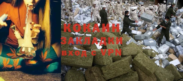 индика Красноперекопск