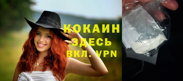 индика Красноперекопск