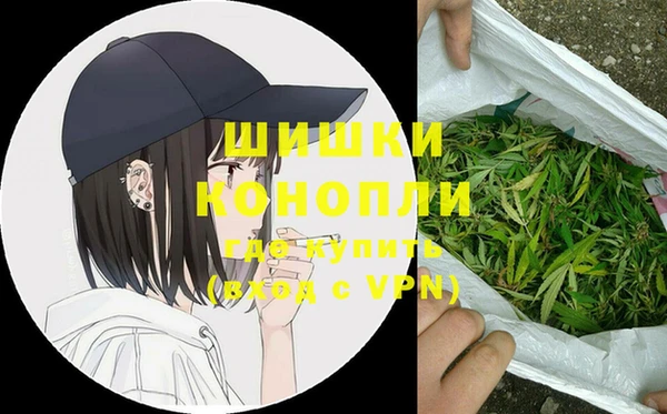 индика Коряжма