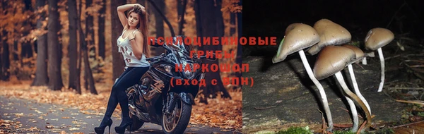 скорость Краснослободск